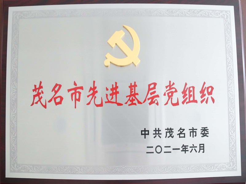 中共茂名市委關(guān)于表彰茂名市優(yōu)秀共產(chǎn)黨員、茂名市優(yōu)秀黨務(wù)工作者和茂名市先進(jìn)基層黨組織的決定（2021年6月） (2).jpg